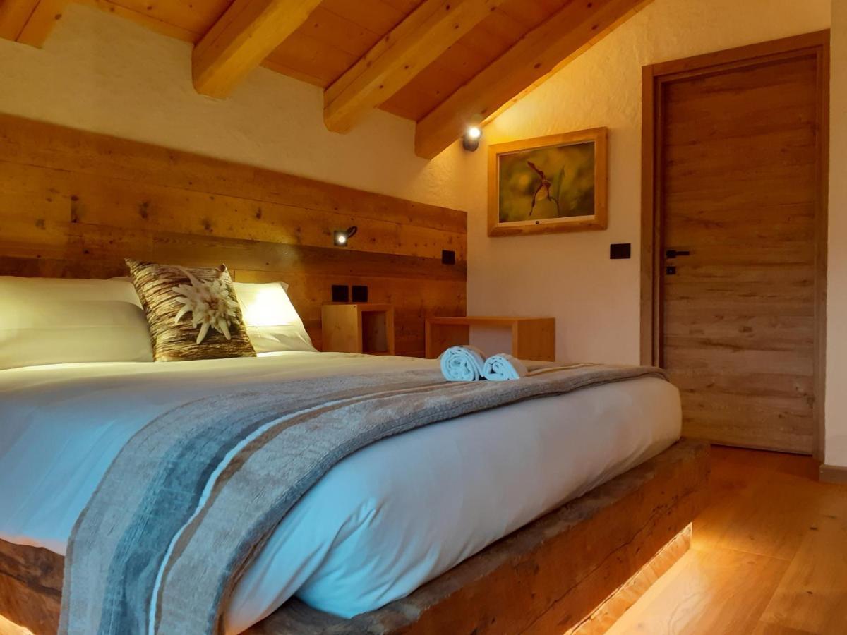 Il Bucaneve Santo Stefano Di Cadore
